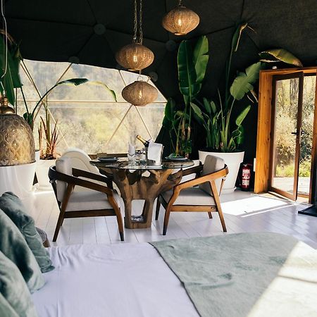 Domo Suites Masia Cal Geperut バダロナ エクステリア 写真