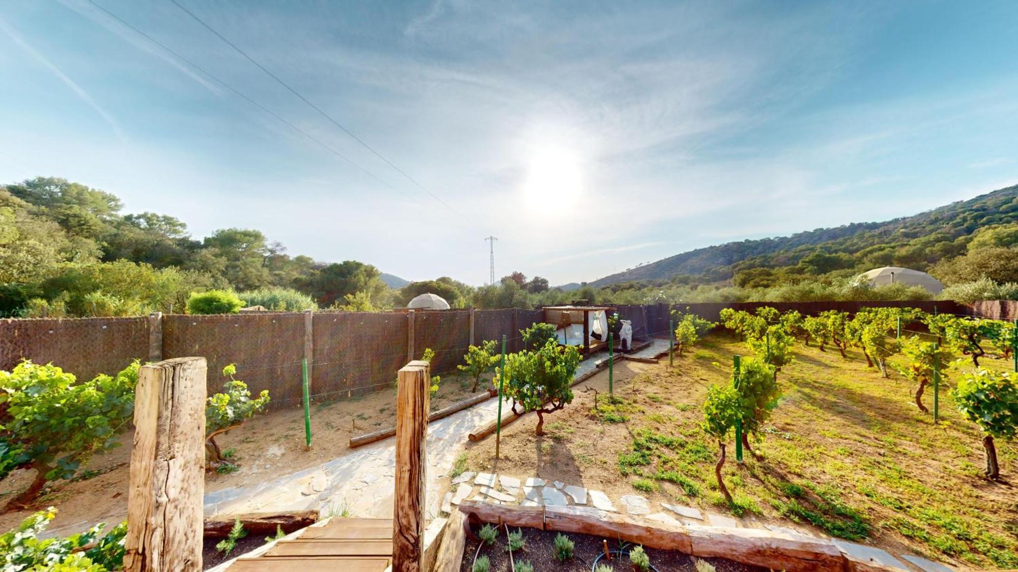 Domo Suites Masia Cal Geperut バダロナ エクステリア 写真